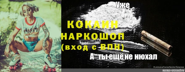 эйфоретик Нефтекумск