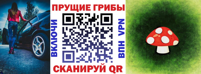hydra ТОР  Белый  Псилоцибиновые грибы Cubensis 
