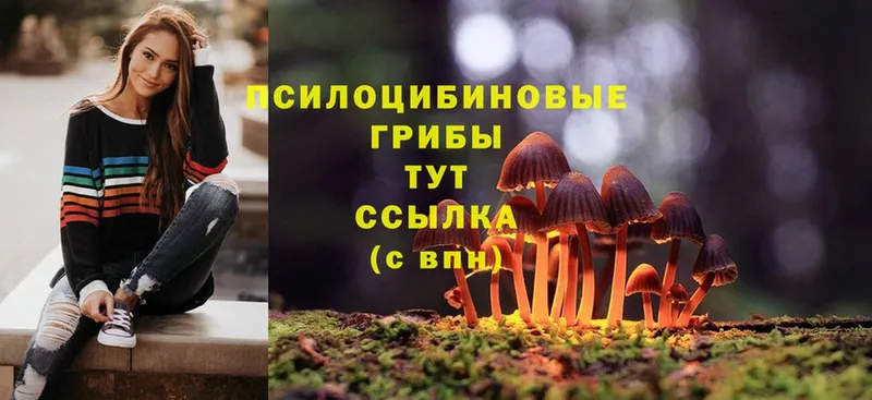 Псилоцибиновые грибы Magic Shrooms  Белый 